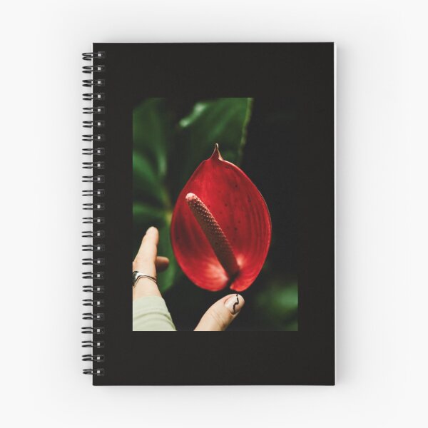 Aperçu de l'œuvre Anthurium créée et vendue par BoxyFox.