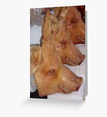 Pigs Heads Korea Greeting Card