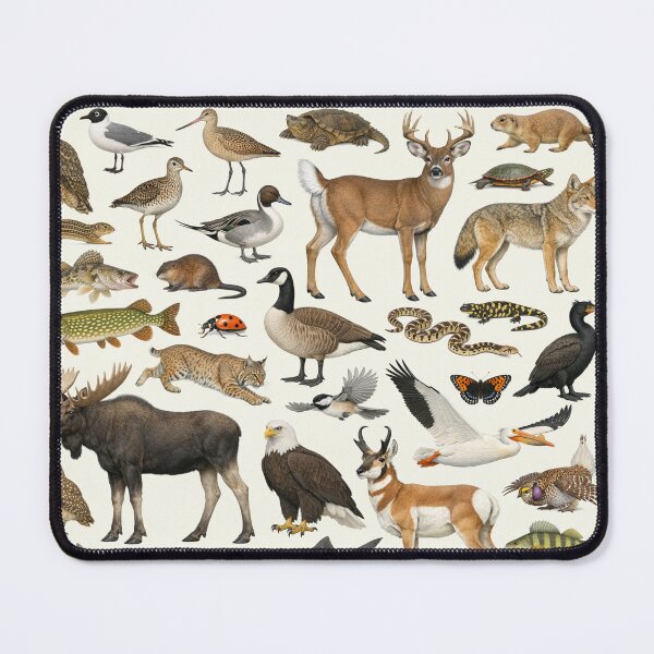 Item preview, Animals of North Dakota Retro Style Identification Chart designed and sold by kakarikihill.