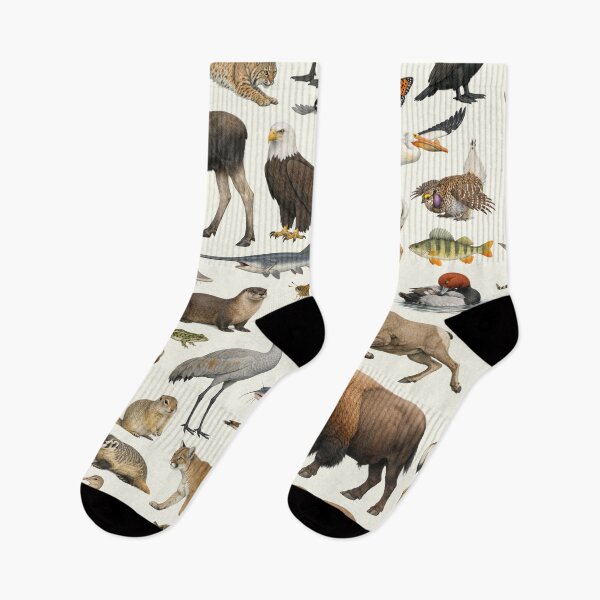 Item preview, Animals of North Dakota Retro Style Identification Chart designed and sold by kakarikihill.
