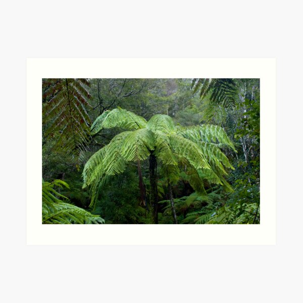 Rain Art Print