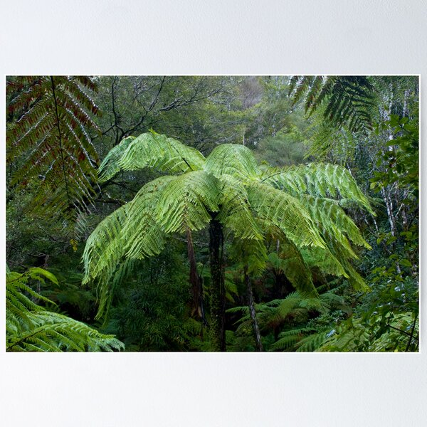 Item preview, Rain designed and sold by Michael Treloar.