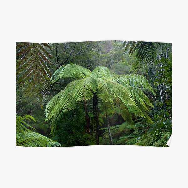 Rain Poster