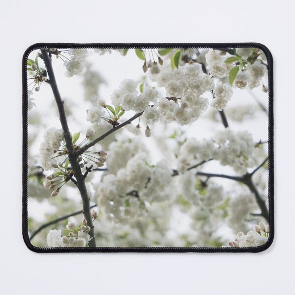 Item preview, White Cherry Blossoms on a Soft Sky | Minimalist Spring Photography designed and sold by pigeonlovrs.
