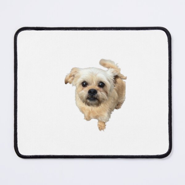 Item preview, my childhood dog timber woods.  designed and sold by duckieteef.