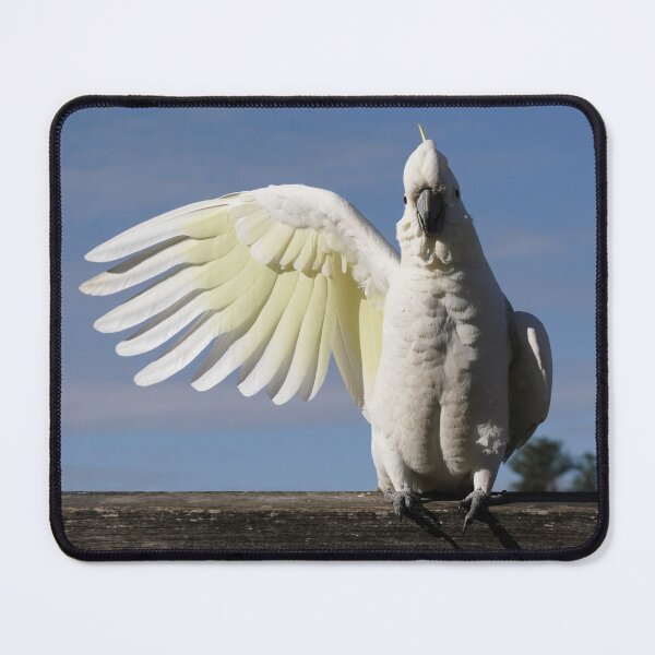 Item preview, AVIAN TRAFFIC CONTROLLER designed and sold by Annalucia.
