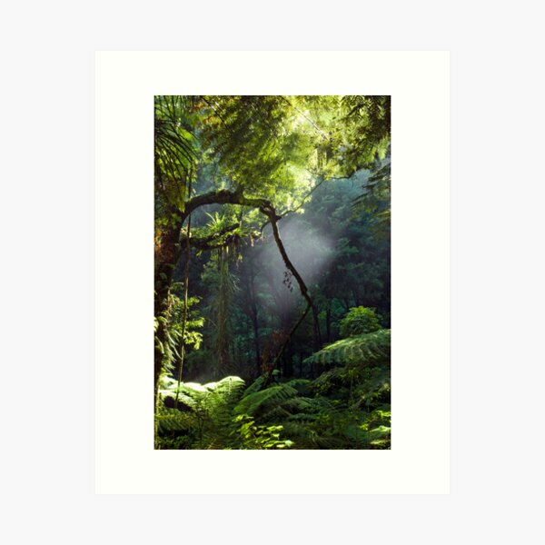 Item preview, Morning Mist designed and sold by Michael Treloar.