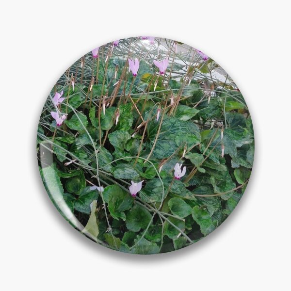Item preview, spring bloom, Cyclamen designed and sold by Lunar-Dragon.