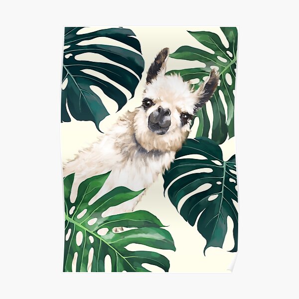 Sneaky Llama in Tropical Monstera Poster