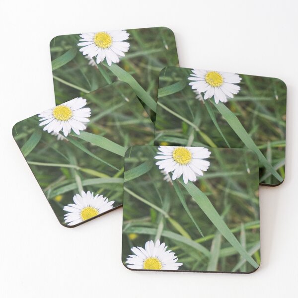Item preview, Two Daisies in Green Grass | Minimalist Wildflower Photography designed and sold by pigeonlovrs.