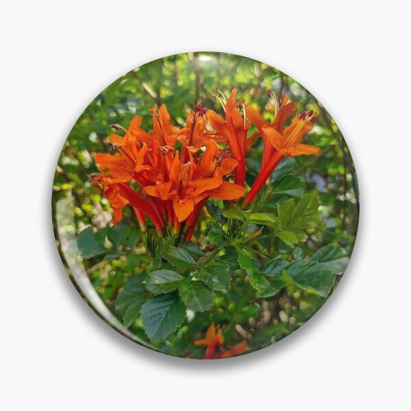 Item preview, spring bloom, Trumpetbush designed and sold by Lunar-Dragon.