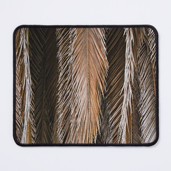 Item preview, Dried Palm Leaves designed and sold by CarolM.