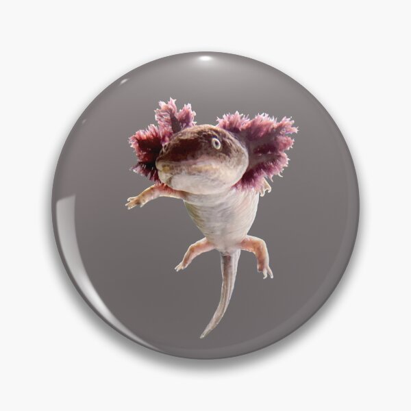 Item preview, Echtes Axolotl designed and sold by suekieper.