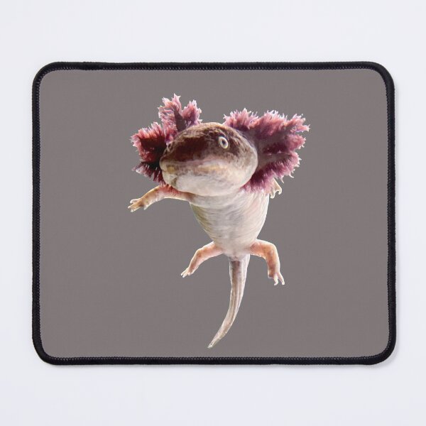 Item preview, Echtes Axolotl designed and sold by suekieper.
