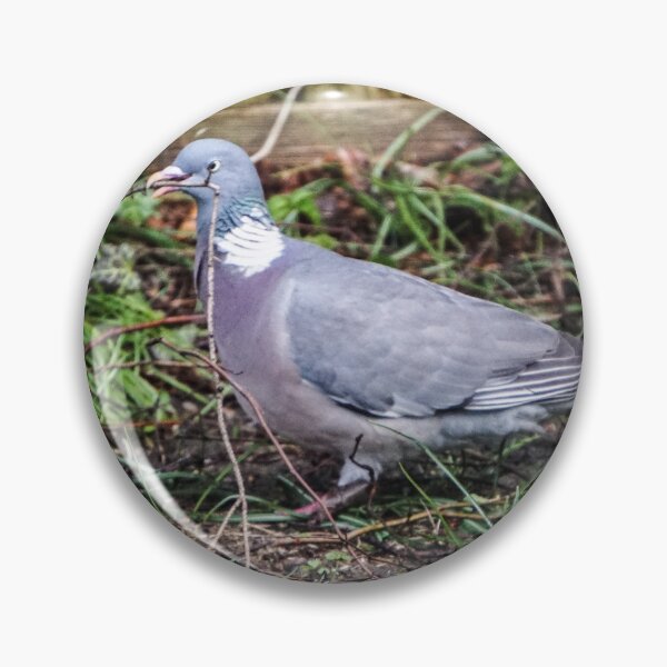Item preview, Wood Pigeon Collecting Nest Material designed and sold by pigeonlovrs.
