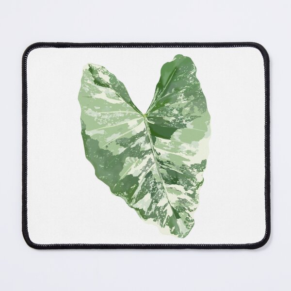 Item preview, Variegated Alocasia Macrorrhiza designed and sold by Waxwing Creations.