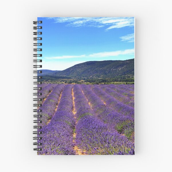 Item preview, Lavander in Provence designed and sold by annalisa56.