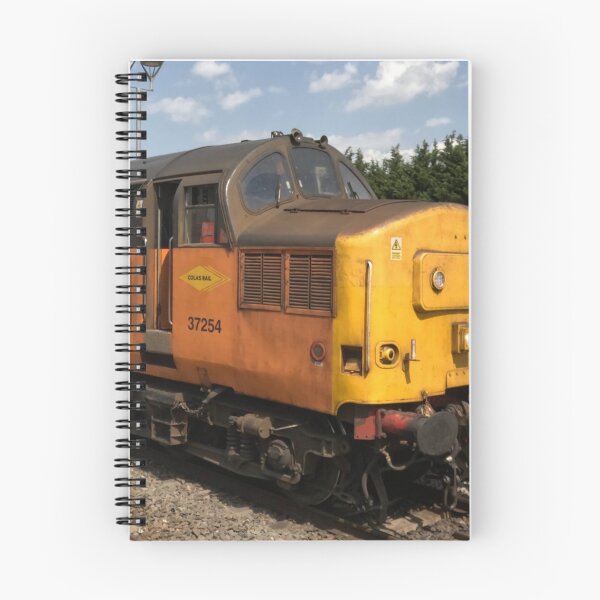 Item preview, Class 37 No. 37254 Cardiff Canton at Derby Station designed and sold by philpace.