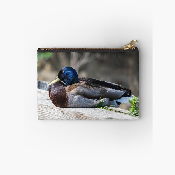 Item preview, Male Mallard duck designed and sold by Stephen Jarman.
