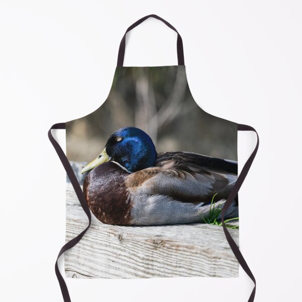 Item preview, Male Mallard duck designed and sold by Stephen Jarman.
