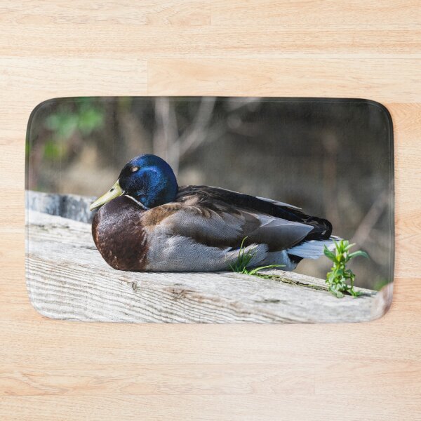 Item preview, Male Mallard duck designed and sold by Stephen Jarman.