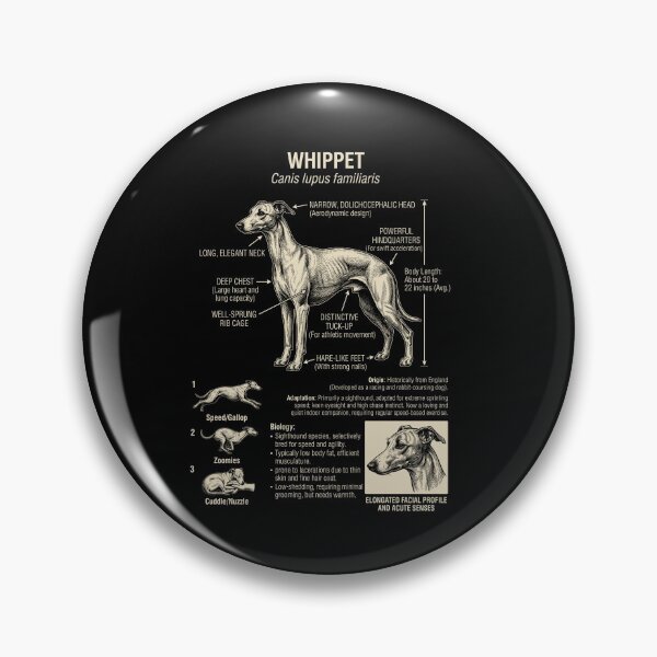 Item preview, Whippet Scientific Anatomy Biology Dog Lover designed and sold by Kimberley King Art King Art.