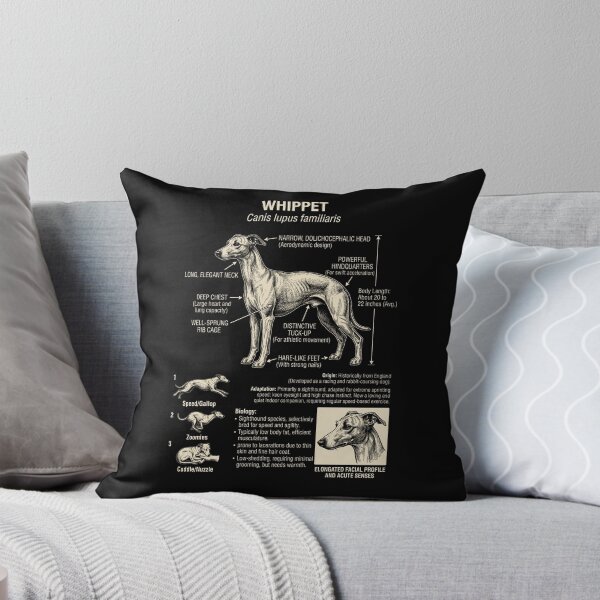 Item preview, Whippet Scientific Anatomy Biology Dog Lover designed and sold by Kimberley King Art  King Art.
