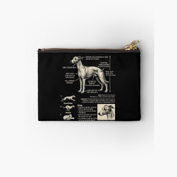 Item preview, Whippet Scientific Anatomy Biology Dog Lover designed and sold by Kimberley King Art  King Art.