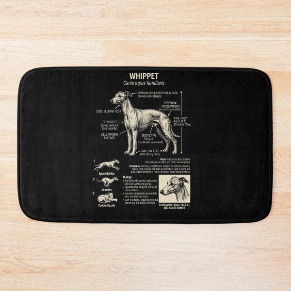 Artikelvorschau, Whippet-Wissenschafts-Anatomie-Biologie-Hundeliebhaber entworfen und verkauft von Kimberley King Art  King Art.