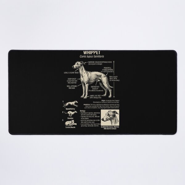 Aperçu de l'œuvre Anatomie scientifique du Whippet, biologie, amoureux des chiens créée et vendue par Kimberley King Art King Art.