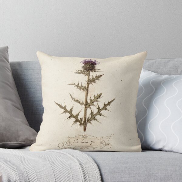 Item preview, Vintage Pressed-Thistle Herbarium Plate designed and sold by PictorialWhimsy.
