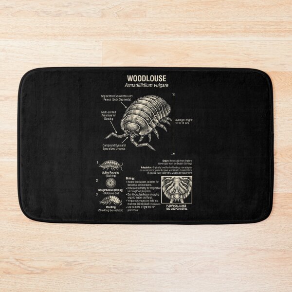 Item preview, Woodlouse Scientific Anatomy Biology Animal Lover designed and sold by Kimberley King Art  King Art.