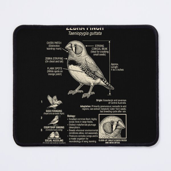 Item preview, Zebra Finch Scientific Anatomy Ornithology Animal Lover designed and sold by Kimberley King Art  King Art.