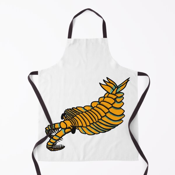 Item preview, Anomalocaris Descends designed and sold by PalaeoBros.