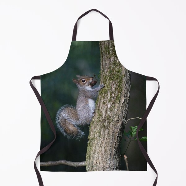 Item preview, Eastern grey squirrel (Sciurus carolinensis) designed and sold by Stephen Jarman.