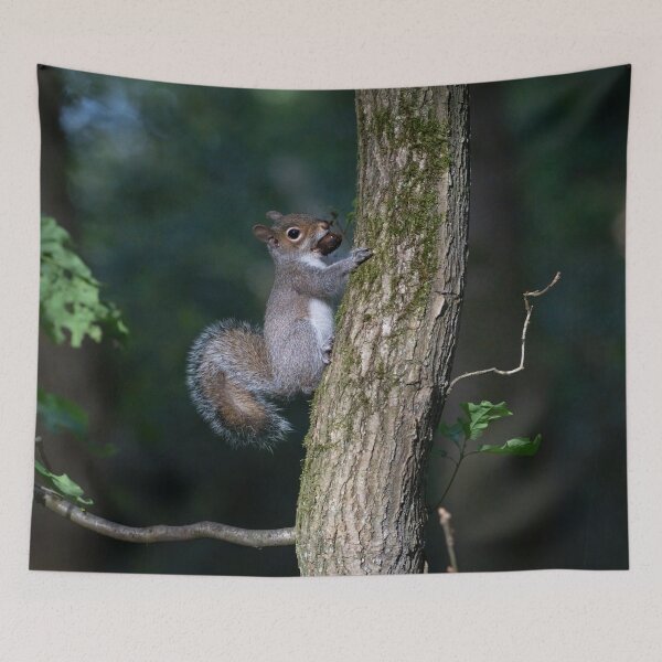 Item preview, Eastern grey squirrel (Sciurus carolinensis)  designed and sold by Stephen Jarman.