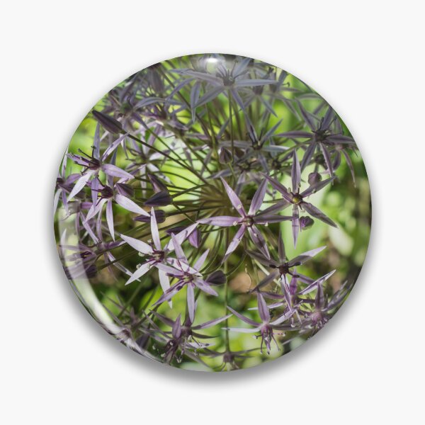 Item preview, Purple Starburst Persian Onion Flower in a Garden designed and sold by Georgia Mizuleva.