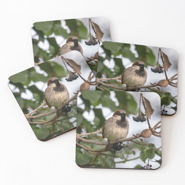 Item preview, House sparrow (Passer domesticus) designed and sold by Stephen Jarman.