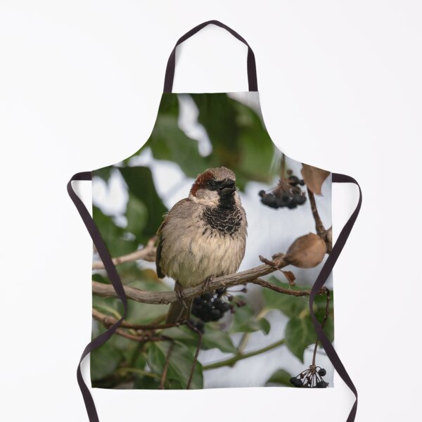 Item preview, House sparrow (Passer domesticus) designed and sold by Stephen Jarman.