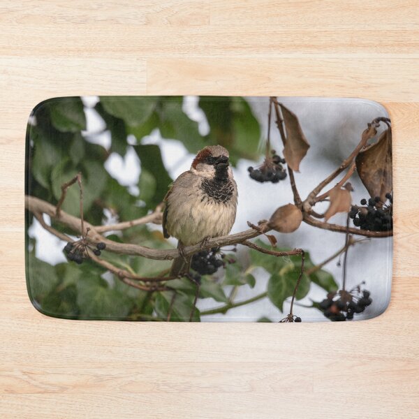 Item preview, House sparrow (Passer domesticus) designed and sold by Stephen Jarman.