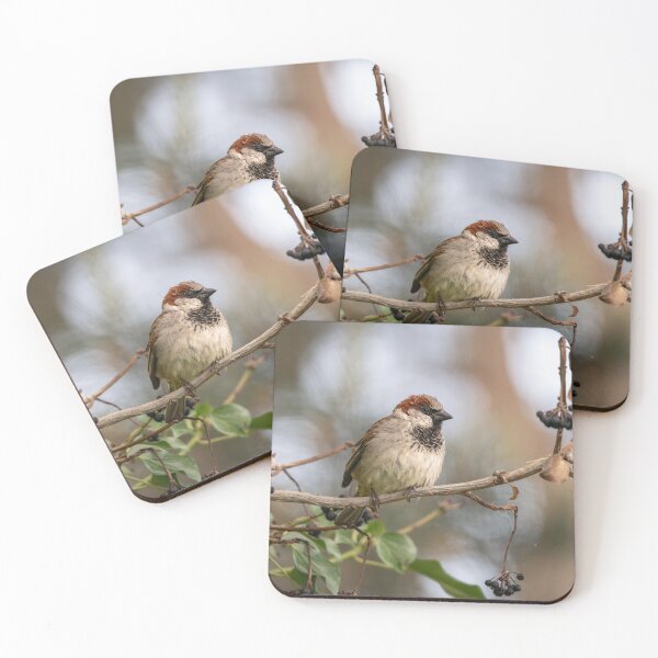Item preview, House sparrow (Passer domesticus) designed and sold by Stephen Jarman.