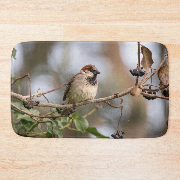 Item preview, House sparrow (Passer domesticus) designed and sold by Stephen Jarman.