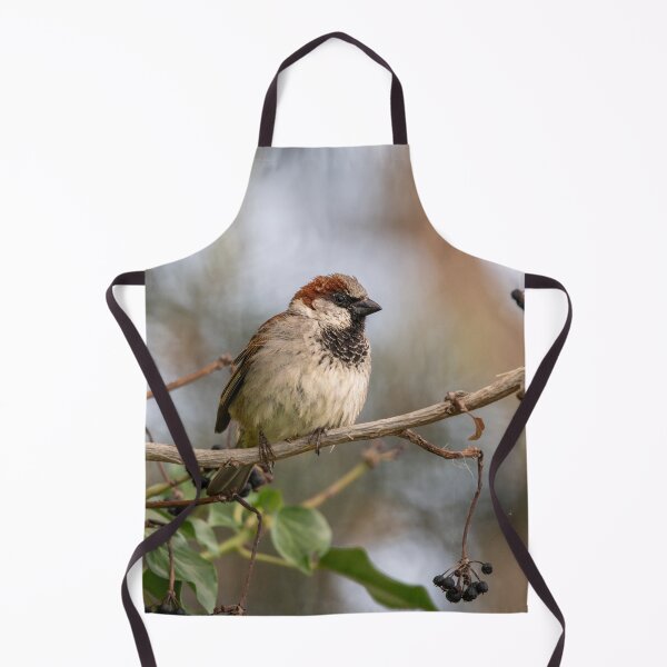 Item preview, House sparrow (Passer domesticus) designed and sold by Stephen Jarman.