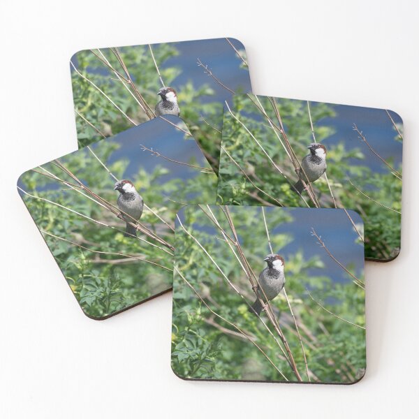 Item preview, House sparrow (Passer domesticus)  designed and sold by Stephen Jarman.