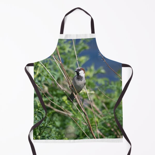 Item preview, House sparrow (Passer domesticus)  designed and sold by Stephen Jarman.