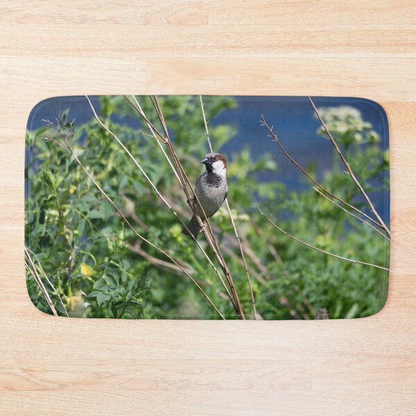 Item preview, House sparrow (Passer domesticus)  designed and sold by Stephen Jarman.