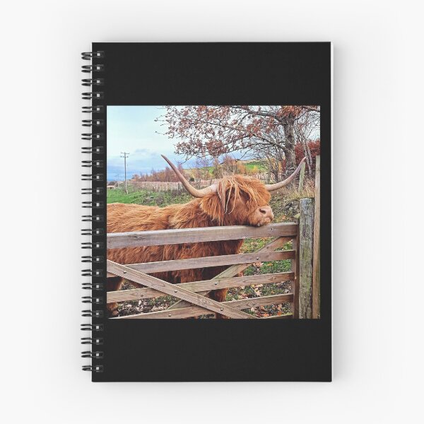 Item preview, Hi Highland Cow designed and sold by RebelEyesCork.