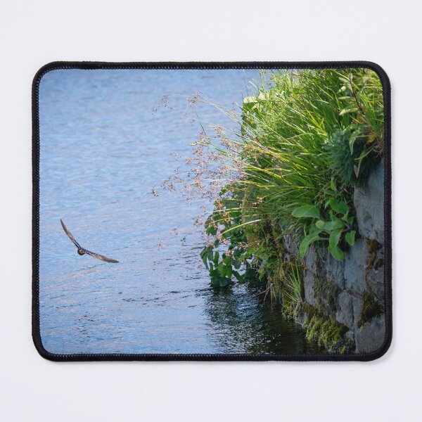 Item preview, Barn swallow (Hirundo rustica) designed and sold by Stephen Jarman.