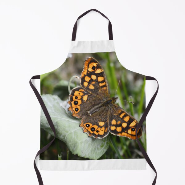 Item preview, Tiger butterfly designed and sold by XaviFotografia.