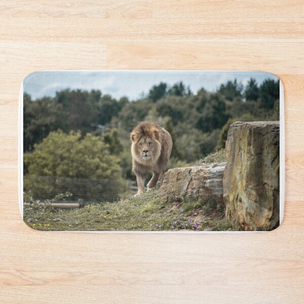 Aperçu de l'œuvre Lion rôdant créée et vendue par brynmelys.